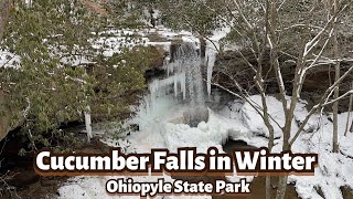 Frozen Cucumber Falls Ohiopyle State Park in Winter [upl. by Comras204]