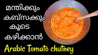 Tomato SalsaArabic ChutneyQuick amp Easy [upl. by Newcomer]