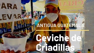 quotCEVICHES DE TESTICULOS DE TOROquot EN LA ANTIGUA GUATEMALA [upl. by Stockwell]