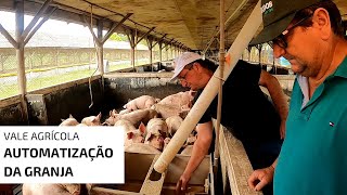 Irmãos investem na automatização da granja de suínos [upl. by Terrej171]