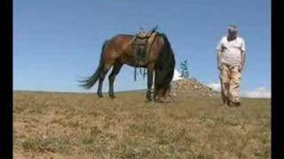 Mongolie la steppe mongole MG6 Mongolia Монгол улс [upl. by Pelagias901]