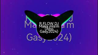 RFLOW DJ  Maka mlam Afro Gasy 2024 [upl. by Oidacra]