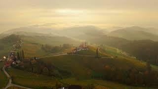 Weinberge im Nebel 7 11 2024 [upl. by Eruza98]