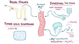 Hypermagnesemia causes symptoms diagnosis treatment pathology [upl. by Nonnair36]