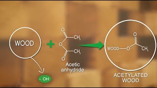 Building Science What is Accoya Wood  Episode 1 [upl. by Elane]