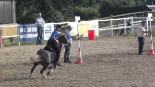 Mounted Games  World Individual Championships 2012  Tom on Oscar [upl. by Rudiger690]