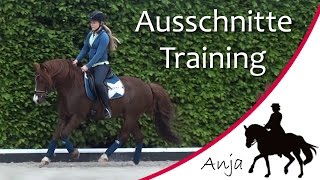 TRAINING Eindrücke aus unserem Dressurtraining  Mai 2015 [upl. by Bright625]