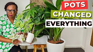 LECHUZA Planters change EVERYTHING Best selfwatering pots EVER [upl. by Bryner]