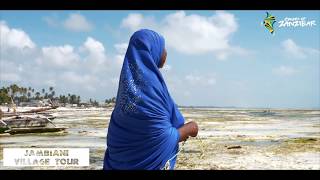 Jambiani Village Tour  Colors of Zanzibar [upl. by Lenrow]