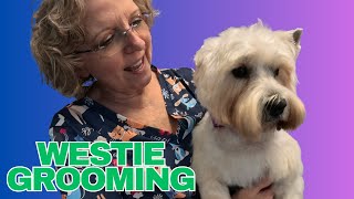 Grooming This Handsome Dog  Westie  Willie [upl. by Yojenitsirk169]