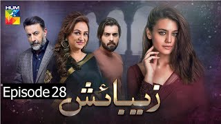 Zebaish  Episode 28  Hum TV [upl. by Slinkman]