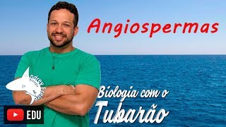 Angiospermas  Botânica  Biologia com o Tubarão [upl. by Robina947]