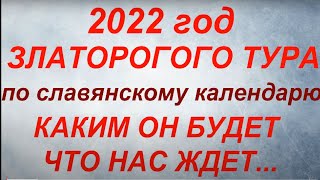 2022  год какого животного по славянскому календарю Каким будет 2022 год Что нас ждет [upl. by Jegar556]