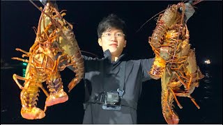 The BEST Bait for Spiny Lobsters [upl. by Uol]