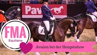 FMA Equitana  AVALON Hengstshow  HUMBAUR [upl. by Aitsirt]