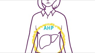 Acute Hepatic Porphyria What happens in the body [upl. by Mallin]