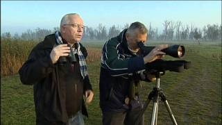 Nieuwe serie Vogels kijken bij Natuurlijk Flevoland [upl. by Anila]