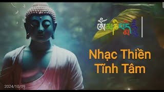 Nhạc Thiền Tĩnh Tâm Thư Giãn  An Nhiên Tự TạiMedication Music for sleep [upl. by Pollack]