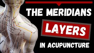 The Meridians Layers in Acupuncture Theory [upl. by Cullan817]