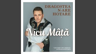 De dragostea Anitei Duet [upl. by Drannek]