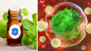 Top 12 Herbs to Destroy Viruses Fast and Boost Immune System [upl. by Aruol]