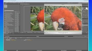 After Effects Quicktips 2 H 264 Gamma Correction [upl. by Aneema]