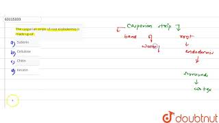 The casparian strips of root endodermis is made up of [upl. by Gussi682]