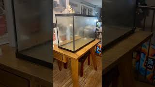 Fish Tank set up part 1 plantedtank aquarium remix funk [upl. by Euqinamod]