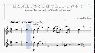 마스카니 카발레리아 루스티카나 간주곡 바이올린 편곡 Mascagni Cavalleria Rusticana Intermezzo for Violin [upl. by Valorie]