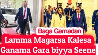 OMN ODDU AMME  Lamma Magarsa Kalesa Ganama Gara Biyya Seene  Moha Oromo [upl. by Atinyl]