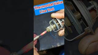 Thermostat Valve Live Testing Satisfien Working shorts [upl. by Animrac]