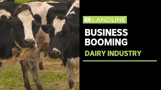 Australias dairy industry is booming  Landline  ABC News [upl. by Cirri]