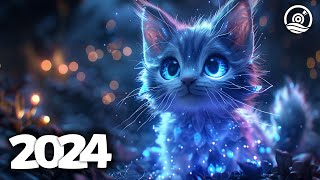 Music Mix 2024 🎧 EDM Mixes of Popular Songs 🎧 EDM Bass Boosted Music Mix 220 [upl. by Retha]