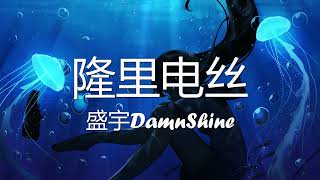 盛宇DamnShine  隆里电丝 歌词 💗♫ [upl. by Yves909]