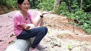 GLOBE Vloggers Investigate Biomes in Asia [upl. by Magee]