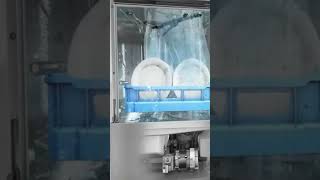 How To Buy Under Counter Commercial Dishwashers [upl. by Lika439]