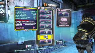 Borderlands 2 Tips and Tricks Gearing Gunzerker [upl. by Earehs441]