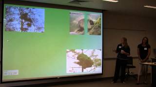 Jessica Hellweg amp Claire Kanagy  Presentation  Student Scholar Days [upl. by Nyved]