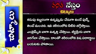 Tips for Indigestion Dyspepsia Daily Health Tips  Chitkalu  Vanitha Nestham  Vanitha TV [upl. by Nref]