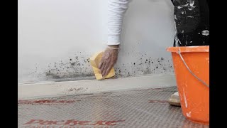 Keeping mould amp mildew at bay with Zinsser PermaWhite [upl. by Pilloff650]