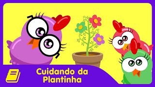 Galinha Pintadinha Mini  Historinha  Cuidando da Plantinha [upl. by Gonzales95]