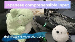 Japanese comprehensible input 12  最近の私のイマージョンについて [upl. by Yadroc]