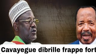 DÉCÈS AU SÉNAT  Paul biya de retour après un silence cavayegue dibrille frape fort [upl. by Strade968]