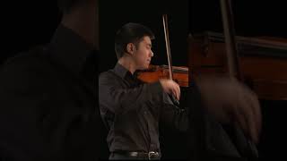 What is Martelé shorts violin cello classicalmusic orchestra music strings [upl. by Flavia641]