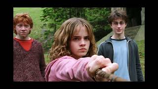 Harry Potter HBO Exec Reveals When We Can Expect To See New Series [upl. by Angell523]