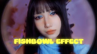 ASMR｜Fishbowl Effect🐟 [upl. by Devinne]