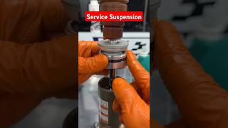 Service Suspension  monoshock Motor [upl. by Fornof287]