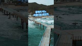 동해의 어느 아름다운 바닷가 임영웅 마량에 가고 싶다 [upl. by Frech]