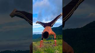 How to Handstand to Elbow Lever ProgreHow to Handstand to Elbow Lever Progression amp Full Tutorial [upl. by Stedman]