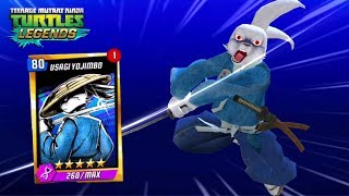 Usagi Yojimbo The 80th Level  Teenage Mutant Ninja Turtles Legends [upl. by Eeuqram]